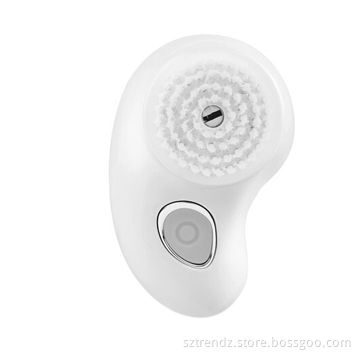 Vibrated facial cleaning brush, waterproof and portable